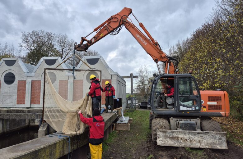 Untersuchung der Fischschädigung an Schöpfwerk mit fischfreundlicher Pumpe